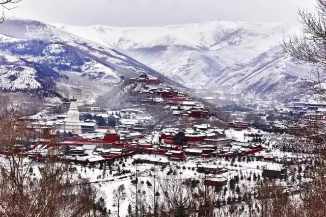 山西香蕉视频看片软件赴佛教聖地五台山為您祈福